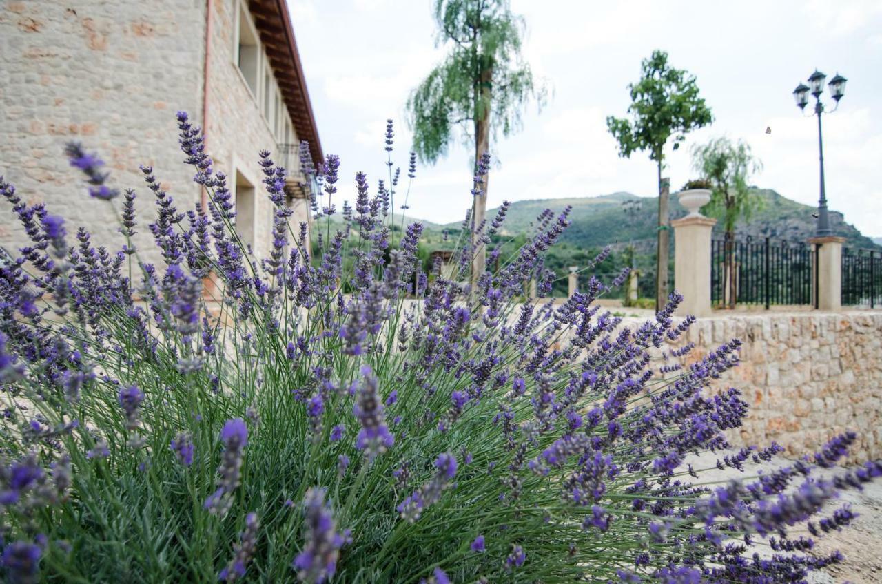 Casale Madeccia Guest House Sonnino Екстериор снимка